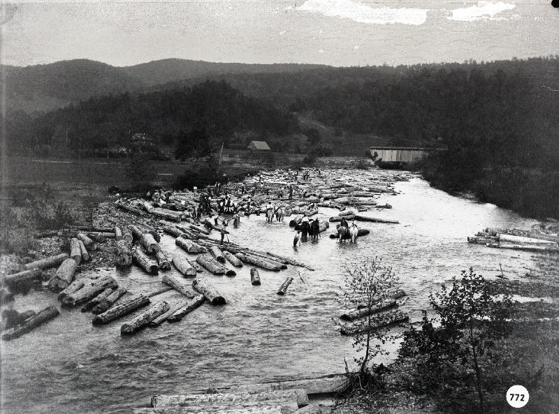 PHS000772.jpg