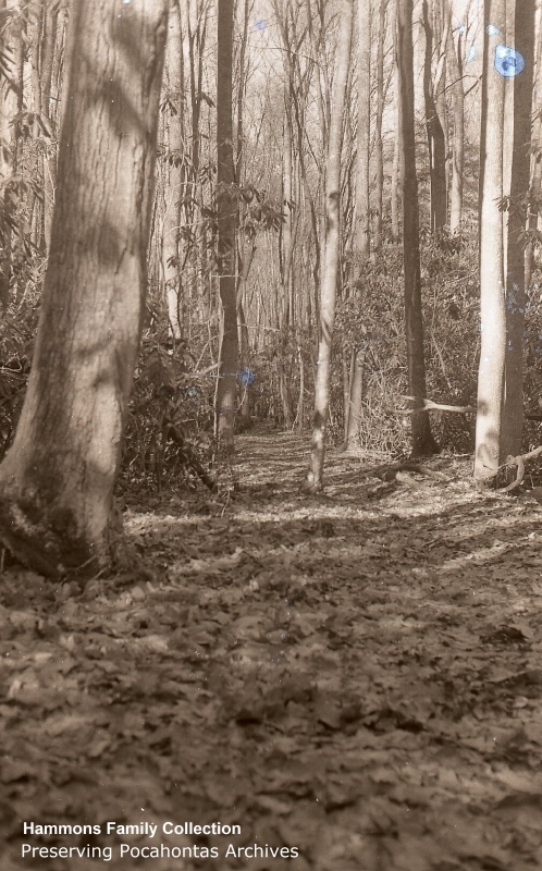PHP005055.jpg