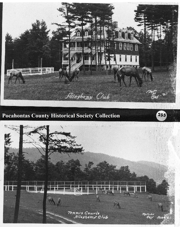 PHS000255.jpg