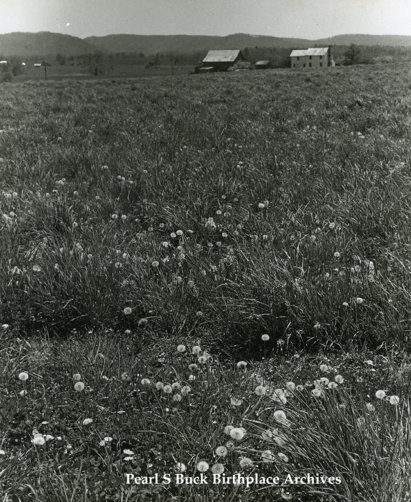 PSB000181.jpg