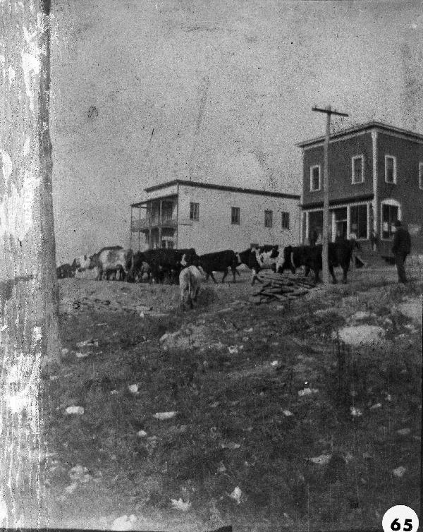 PHS000065.jpg PHS000065.jpg