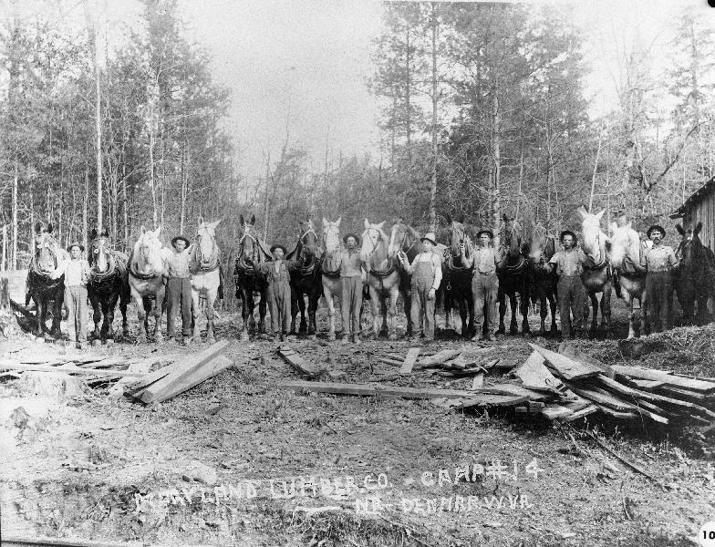 PHS000101.jpg