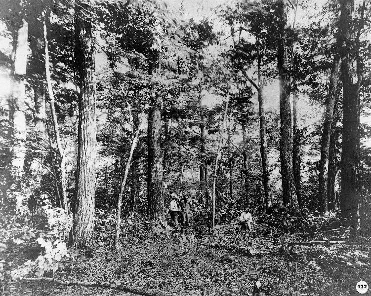 PHS000122.jpg