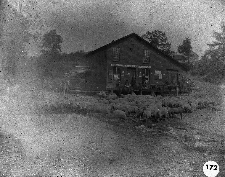 PHS000172.jpg