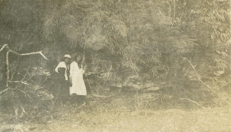 PHS006004.jpg