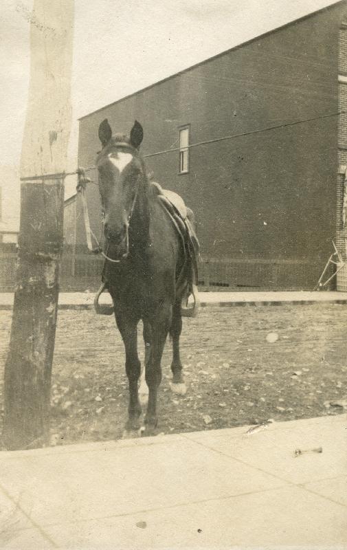 PHS006008.jpg