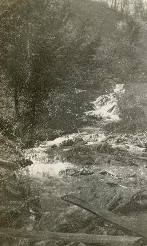 PHS006056.jpg
