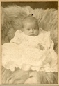 PHP001604.jpg