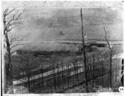 PHS000029.jpg