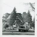 PHS004272.jpg