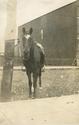 Dr. O. A. Howard&#039;s Horse, Roxy on Marlinton Street